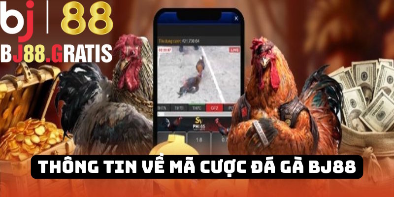 Thông tin về mã cá cược gà đá BJ88