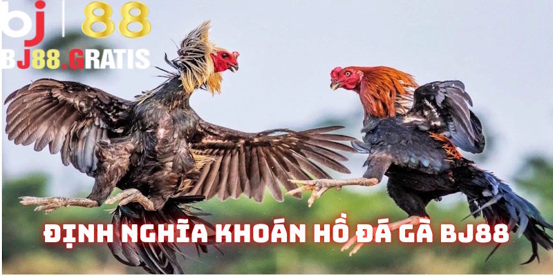 Thông tin định nghĩa khoán hồ đá gà BJ88 