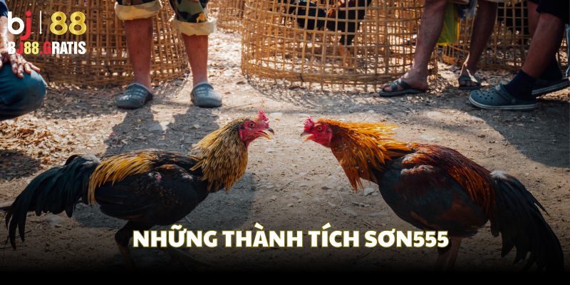 Những thành tích đáng nể của Sơn555 khi chơi tại BJ88