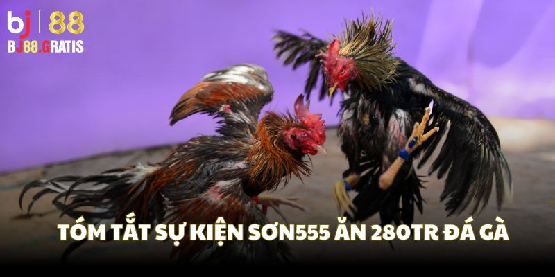 Tóm tắt sự kiện Sơn55 ăn trọn 280tr đá gà