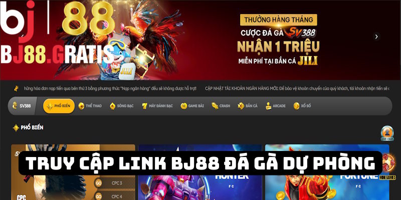Nên truy cập link vào BJ88 đá gà dự phòng