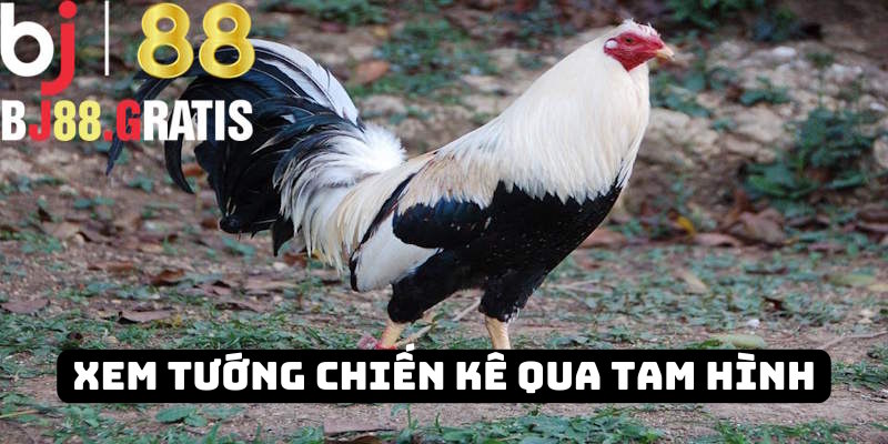 Thông qua tam hình chọn kê BJ88 hiệu quả